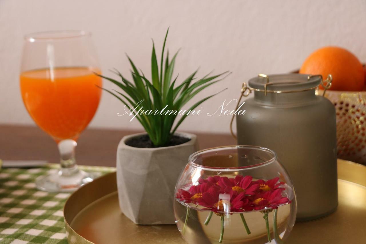 Apartments Neda プロチェ エクステリア 写真